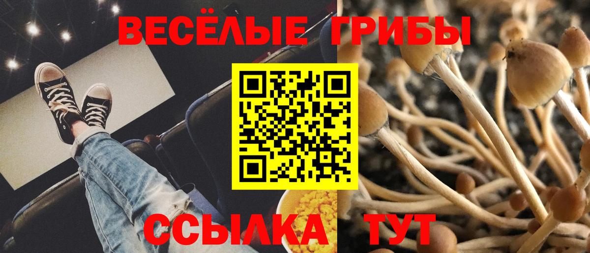 Псилоцибиновые грибы ЛСД  магазин    Корсаков  Вход с VPN 